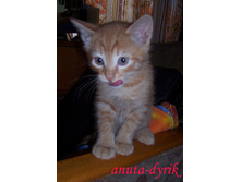 ��� ���!