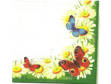 №111   1/4 ��������     ���