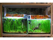 2 � 30 ������: №2 � №1