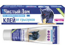 ������ ��� - ���� �� �������� � ���������.jpg