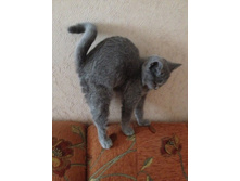 ���������)))