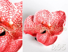 205 ������������ �. 135  ���.jpg