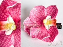 204 ������������ �. 135  ���.jpg