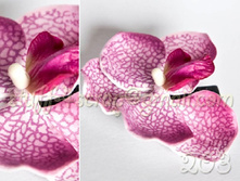 203 ������������ �. 135  ���.jpg