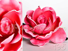 195 ������������ �. 180 ���.jpg