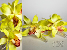 186 ������������ 2 ��. 150 ���.jpg