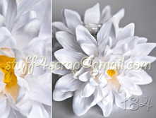 185 ���� ������� 160 ���.jpg