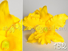 182 ������������  60 ���.jpg