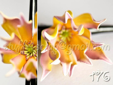 176 ������������ �. 180 ���.jpg