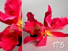 175 ������������ ����. 60 ���.jpg