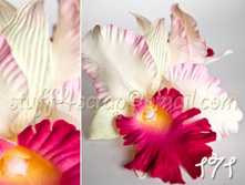 171 ���� ������� ������ ��. ������� 180 ���.jpg