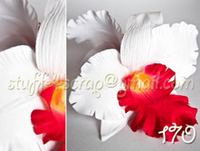 170 ���� ������� ������ ��. ������� 180 ���.jpg