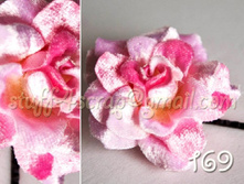 169 ��������� 1 �� 70 ���.jpg