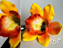 157 ������������ �. 135 ���.jpg