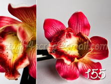 155 ������������ �. 135 ���.jpg