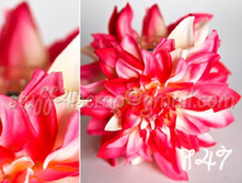 147 ���� ������� 160 ���.jpg