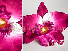 145 ������� 75 ���.jpg