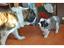 1 087 (�����).jpg