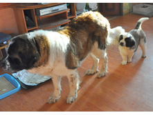 1 088 (�����).jpg