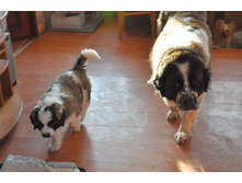 1 090 (�����).jpg