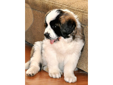 1 094 (�����).jpg