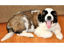 1 095 (�����).jpg