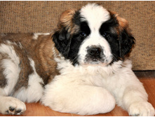 1 097 (�����).jpg