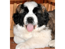 1 098 (�����).jpg