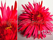 122.���� �������  240 ���