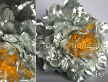 116 ���� �������  240 ���