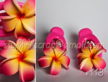 113 ������������-������� � ���������  1 ��.  75 ���