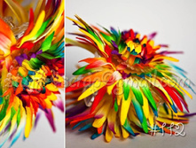 112.���� �������  240 ���