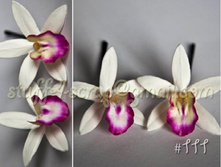 111 ��������� �. 1 ��. 90 ���