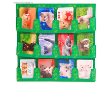 10 ��� - 12 ����