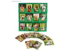 10 ��� - 12 ����