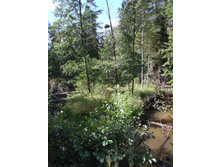 04.09.2010 23:13:39