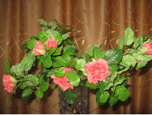 ����� �������. ����