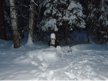 ��� � ����� ������ - ����������� ����� 