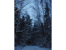 ������� � �������� �����.