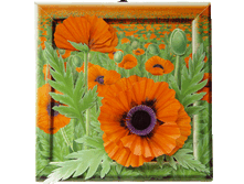 �� 41-302   (98 ���)