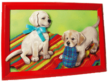  	�� 24-501   (82���)