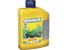 �������� ���� �������.jpg