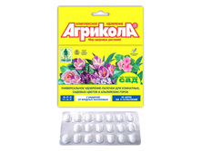 ��������-������� ��� ����., ���. ������ � �������� ��������.jpg