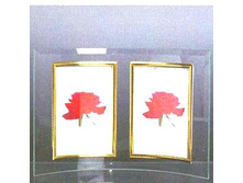 136���. ��� 91250 ��������� ������ GT-204 V ��������� ������� 10�15.jpg