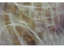 368 x 254 cm (8 parts) art. 8-728