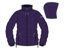 ������ ���. 100% ��������� 