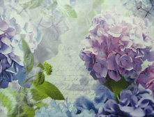 368 x 254 cm (8 parts) art. 8-705