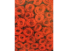 194 x 270 cm (4 parts) art. 4-077