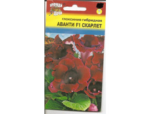 ��������� ������ �������