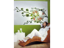 ORCHIDEE 184 x 127 cm (1 parts) art. 1-608